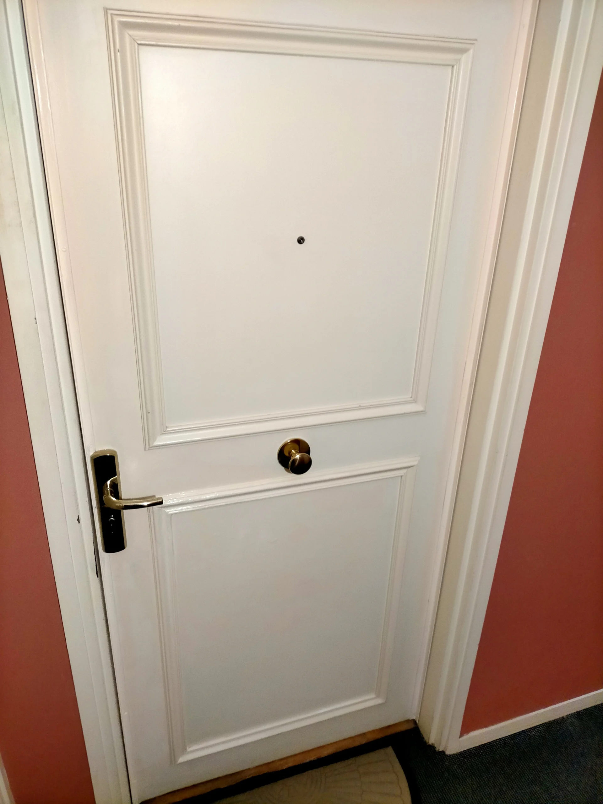 renovation-porte-entree-apres-effraction-rue-de-lille-a-lambersart-pres-de-lille