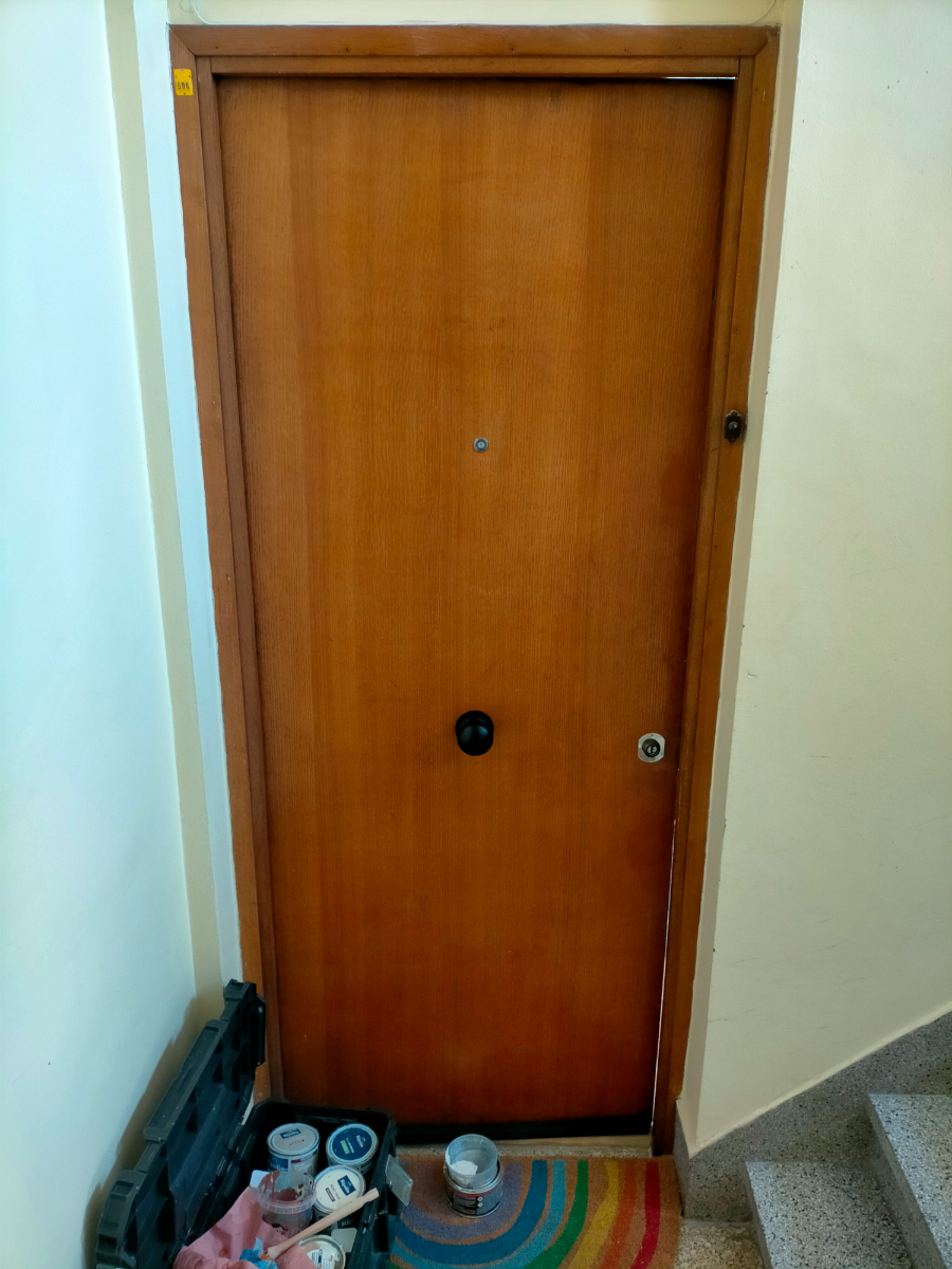 apres-finition-peinture-suite-renforcement-de-porte-rue-de-la-roseraie-lille-bois-blancs-59000